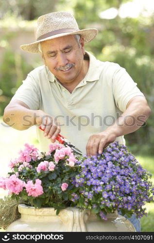 Senior Man Gardening