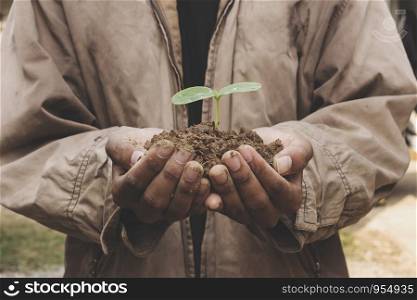Senior man holding young spring plant in hands. Ecology concept