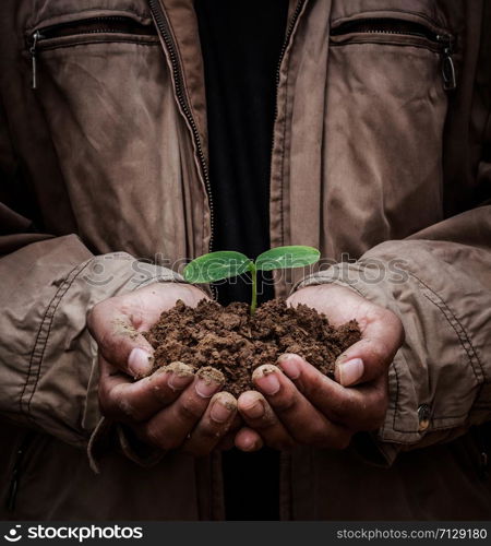 Senior man holding young spring plant in hands. Ecology concept dark background