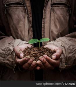 Senior man holding young spring plant in hands. Ecology concept dark background