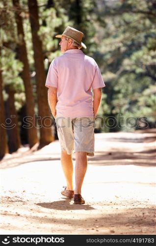 Senior man on country walk