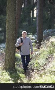 Senior Man On Country Walk Through Woodland