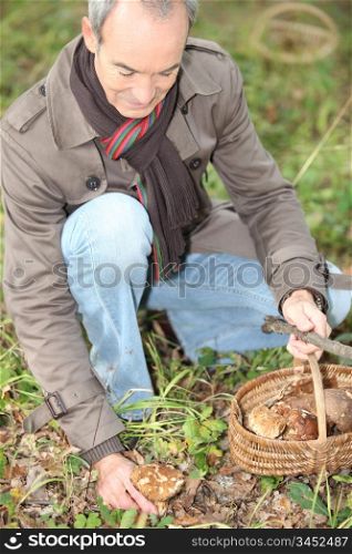 Senior man picking mushrooms