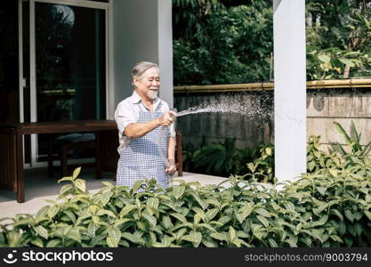 Senior man plant a tree at home