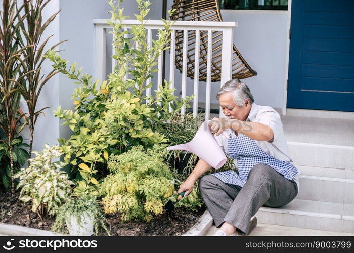 Senior man plant a tree at home