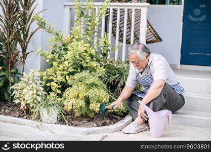 Senior man plant a tree at home