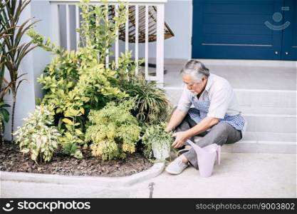 Senior man plant a tree at home