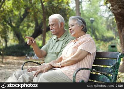 Senior man pointing at something interesting while spending time with woman at park