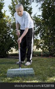 Senior man raking in a garden