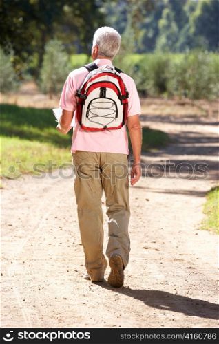 Senior man reading map on country walk