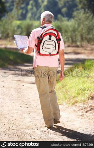 Senior man reading map on country walk