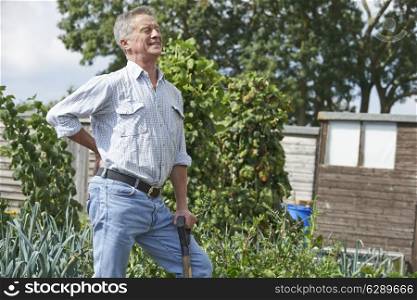Senior Man Suffering From Back Pain Whilst Gardening