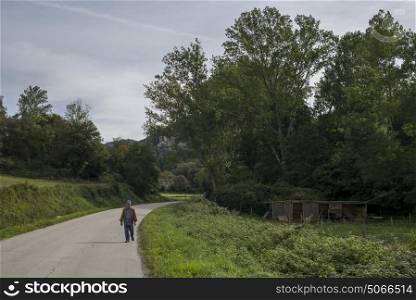 Senior man walking on country road, Chianti, Tuscany, Italy