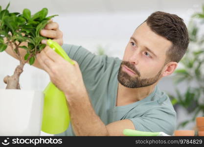 senior man watering bonsai leaves