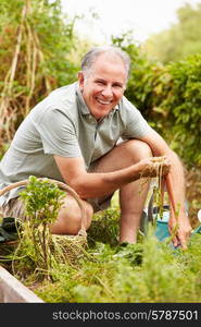 Senior Man Working On Allotment