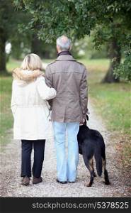 Senior people having a walk with dog