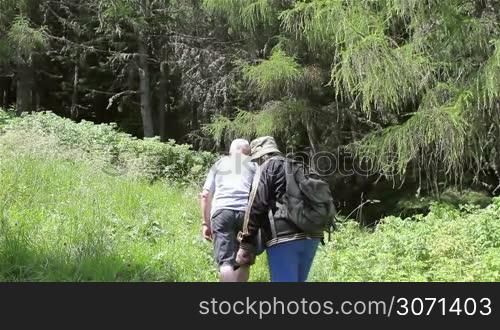 Senior tourist couple hiking trough the forest in the mountains.