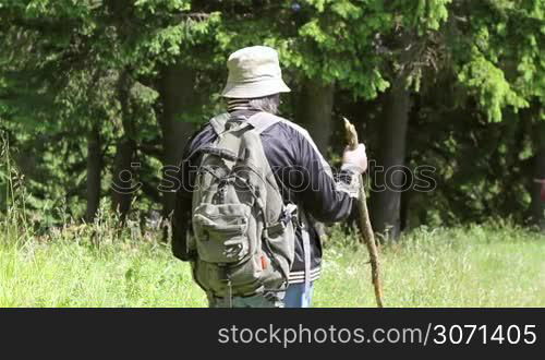 Senior tourist woman walking in the forest in summer.