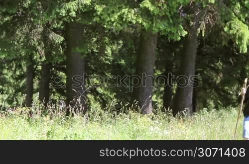 Senior tourist woman walking in the forest in summer.