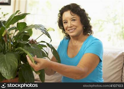 Senior Woman At Home Looking After Houseplant