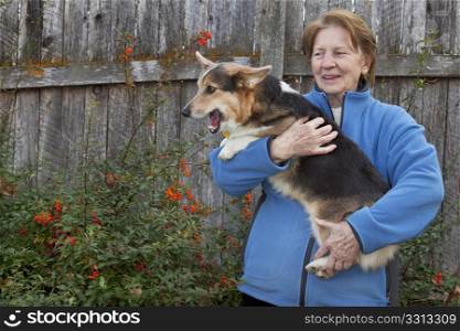senior woman ()eightiy years old) holding an active tri-color Pembroke Welsh Corgi puppy in her arms, garden or backyard scene