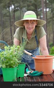 Senior woman gardening in spring time