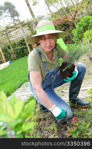 Senior woman gardening in spring time