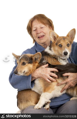 senior woman holding two active corgi puppies on her laps