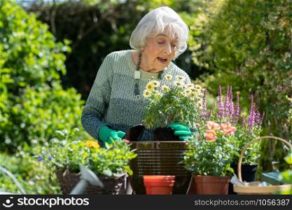 Senior Woman Potting Plant In Garden At Home