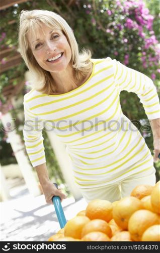 Senior Woman Pushing Wheelbarrow Filled With Oranges