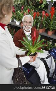 Senior woman showing potted flower to elderly man in garden center