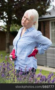 Senior Woman Suffering From Backache Whilst Gardening At Home