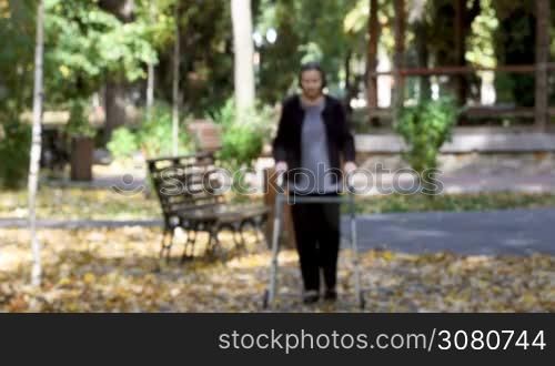 Senior woman walking with walker in autumn park. The person is out focus but comes in focus gradually.