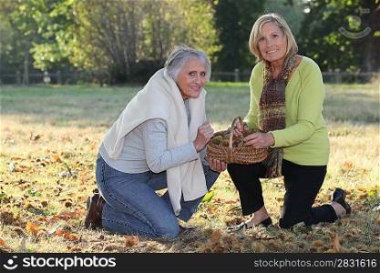 senior women picking chestnuts