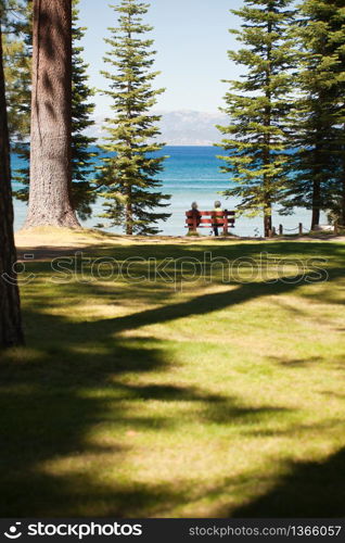 Senior Women Sitting and Enjoying Forest Lake View from Bench.