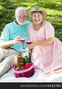 Seniors on a romatic picnic toasting with wine glasses.