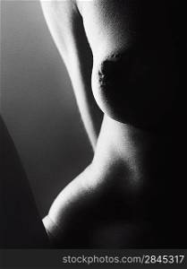 Sensuality. Black and white abstract female portrait