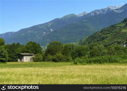 Sentiero della Valtellina, Sondrio province, Lombardy, Italy  rural landscape with vineyards seen from the cycleway