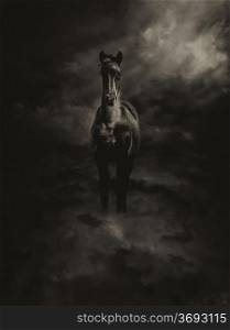 Sepia Toned Black and White Pegasus Steed Standing in Clouds
