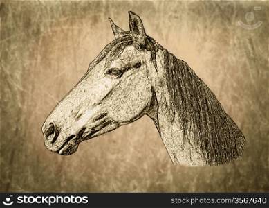Sepia Toned Horse Portrait on Textured Background