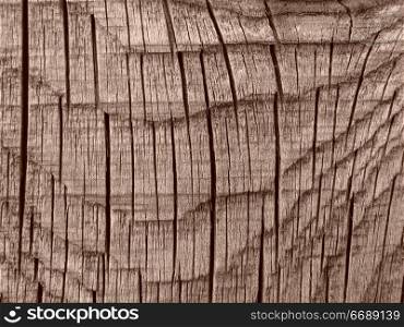 sepia toned old wooden background with cracks and tree rings