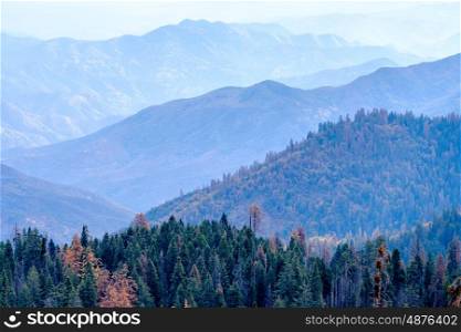Sequoia National Park mountain scenic landscape at autumn. California, United States.