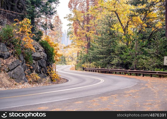 Sequoia National Park Road at autumn. California, United States.