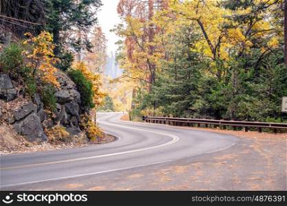 Sequoia National Park Road at autumn. California, United States.