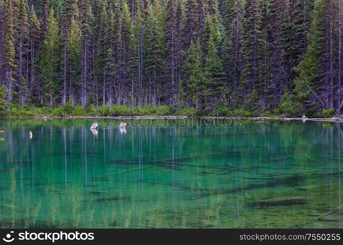 Serene lake in the woods