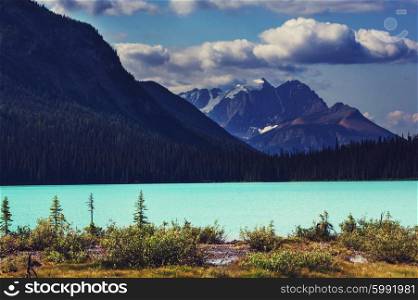 Serene lake scene in Canada