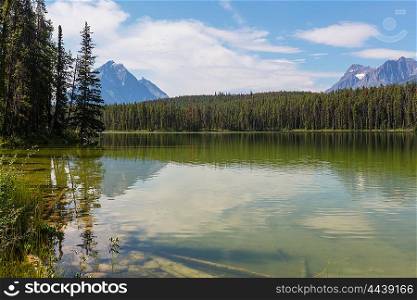 Serene scene by the lake in Canada