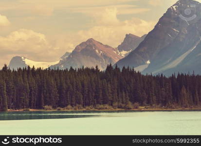 Serene scene by the lake in Canada