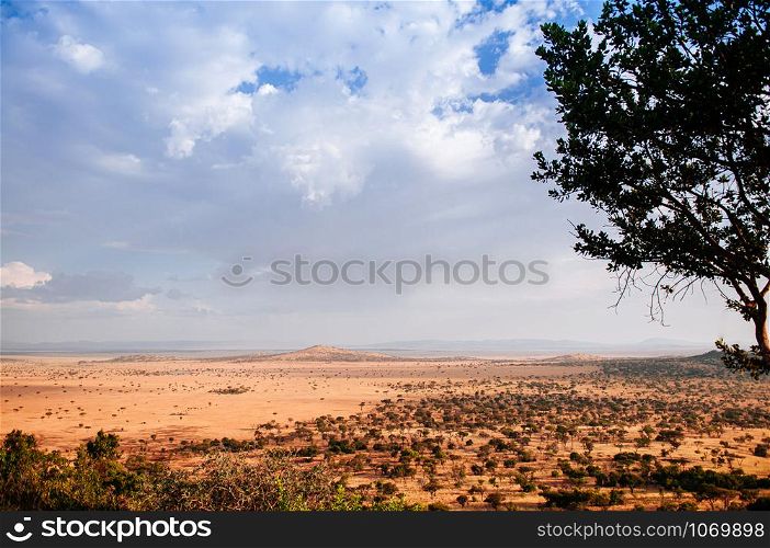 Serengeti Grumeti Reserve wildlife park grass plain beautiful wide landscape and mountain hill under evening warm light with clouds sky
