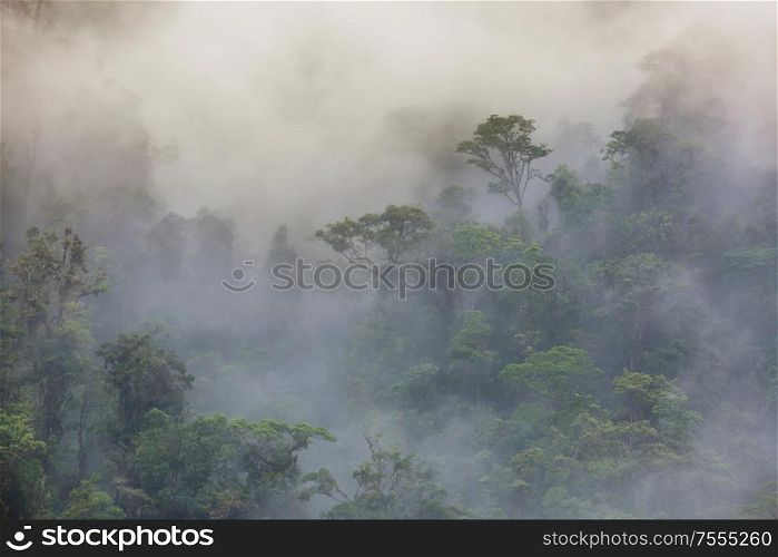 Serenity Cloud forest in Costa Rica